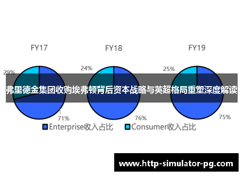 弗里德金集团收购埃弗顿背后资本战略与英超格局重塑深度解读